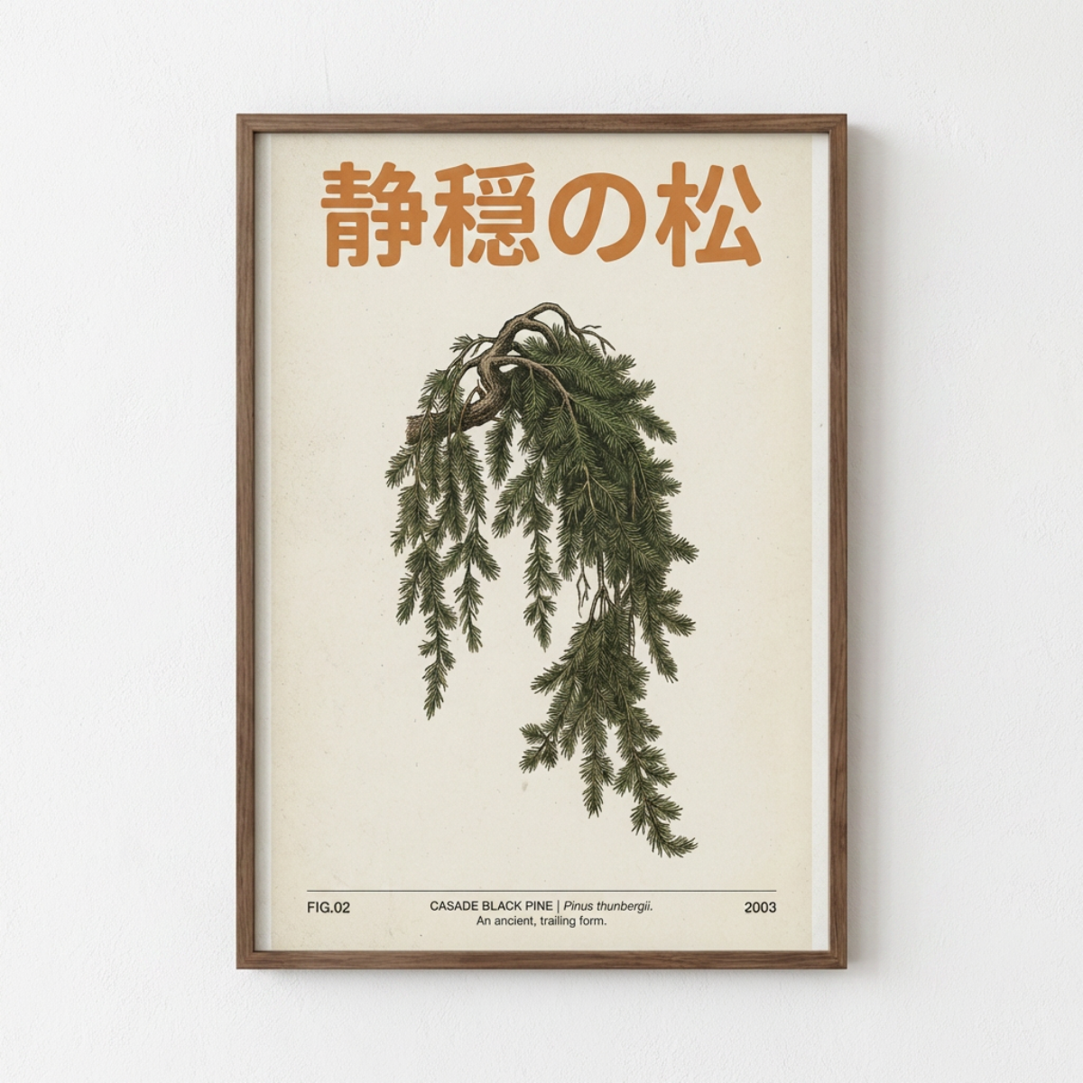 Casade Black Pine