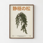 Casade Black Pine